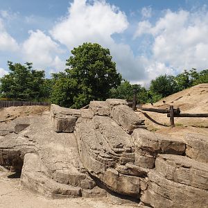 Serenga - Black-tailed prairie dog walk-through exhibit, 2024-06-23