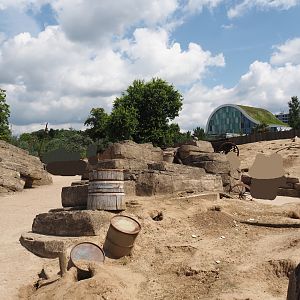 Serenga - Black-tailed prairie dog walk-through exhibit, 2024-06-23