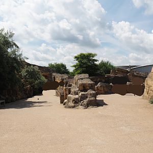 Serenga - Walkways in hippopotamus area, 2024-06-23