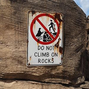 Serenga - Do not climb on rocks sign near hippopotamus exhibit, 2024-06-23