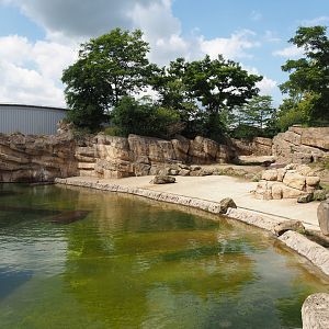 Serenga - Hippopotamus exhibit, 2024-06-23