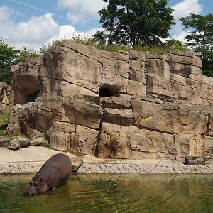 Serenga - Part of hippopotamus exhibit and exterior of viewing cave, 2024-06-23