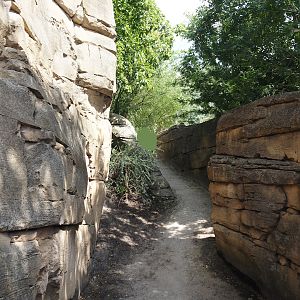 Serenga - Adventure route near hippopotamus exhibit, 2024-06-23