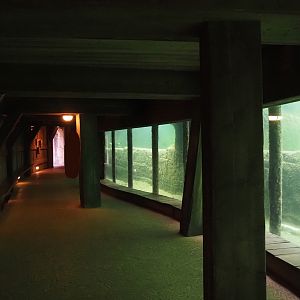 Serenga - Hippopotamus underwater viewing area, 2024-06-23