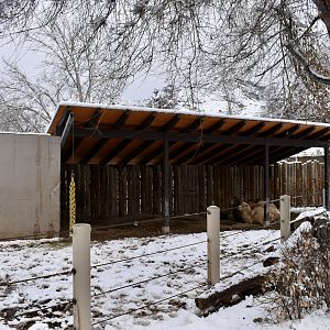 East Yard - High Desert Oasis