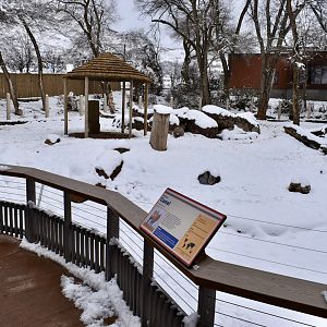 East Yard - High Desert Oasis