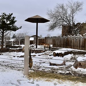 West Yard - High Desert Oasis
