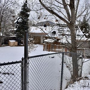 Tortoise Summer Yard - Small Animal Building