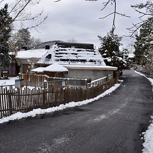 Path to Small Animal Building