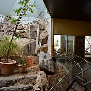 Desert Zone - Small Animal Building