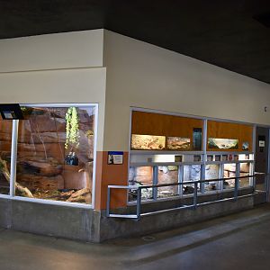 Desert Zone - Small Animal Building