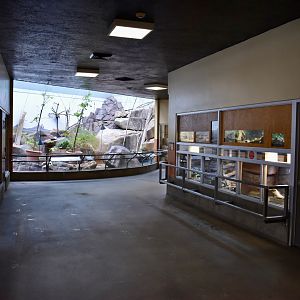 Desert Zone - Small Animal Building