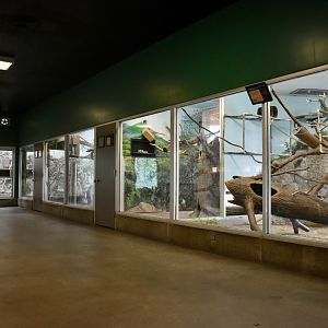 Tropics Zone - Small Animal Building