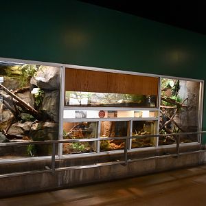 Tropics Zone - Small Animal Building