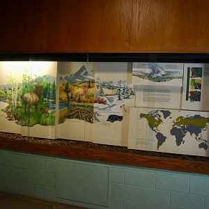 Temperate Display - Temperate Zone - Small Animal Building