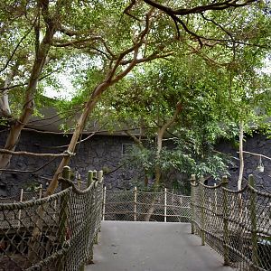 Rainforest Atrium - Small Animal Building
