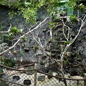 Rainforest Atrium - Small Animal Building