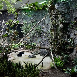 Rainforest Atrium - Small Animal Building