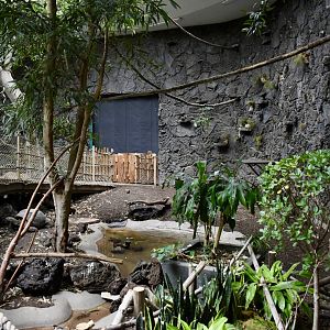 Rainforest Atrium - Small Animal Building