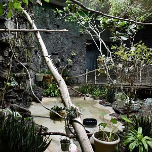 Rainforest Atrium - Small Animal Building