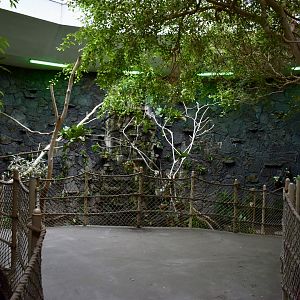 Rainforest Atrium - Small Animal Building