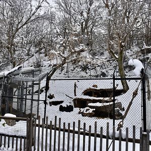 Red Fox Habitat - Small Animal Building