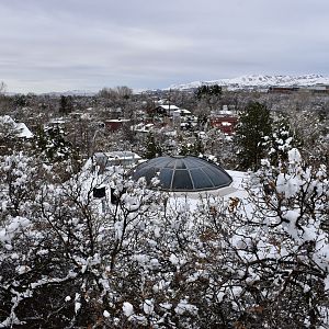 Aerial View - Small Animal Building
