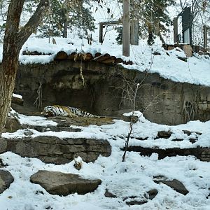Habitat 5 - Asian Highlands