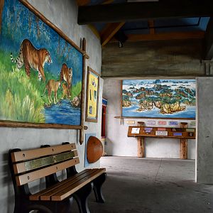 Display - Asian Highlands