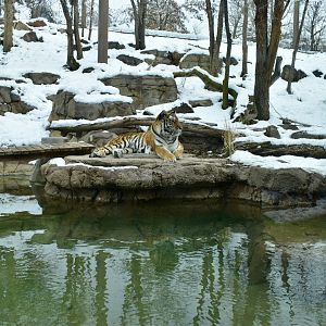 Habitat 4 - Asian Highlands