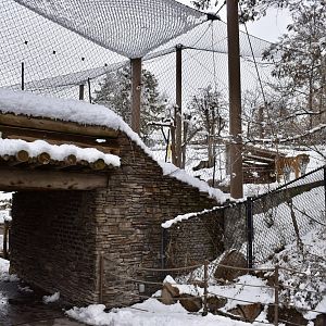 Habitat 4 - Asian Highlands