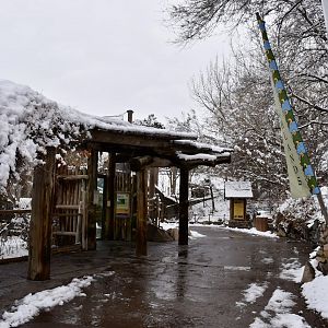 Viewing - Habitat 3 - Asian Highlands