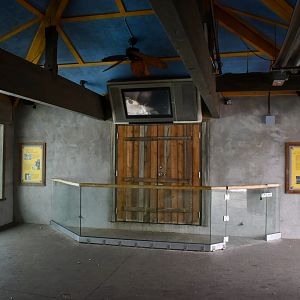 Training Wall - Asian Highlands