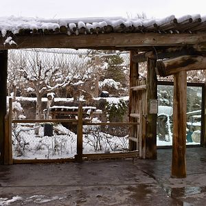 Habitat 3 - Asian Highlands