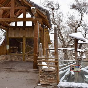 Upper Viewing - Red Panda Exhibit - Asian Highlands