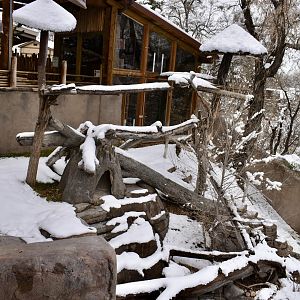 Upper Viewing - Red Panda Exhibit - Asian Highlands