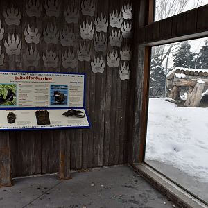 Viewing - Bear Meadow - Rocky Shores