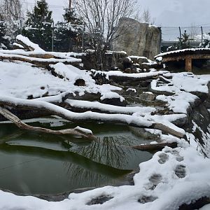 Bear Meadow - Rocky Shores