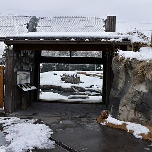 Viewing - Bear Meadow - Rocky Shores
