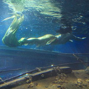 Mermaid at Fantasy Aquarium, Xi'an