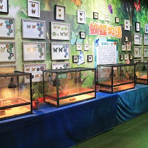 Reptile area at Fantasy Aquarium, Xi'an