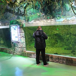 Sturgeon and Paddlefish at Fantasy Aquarium, Xi'an