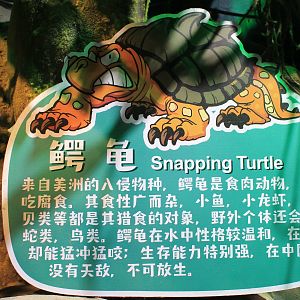 Snapping Turtle sign at Fantasy Aquarium, Xi'an