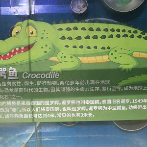 crocodile signage at Fantasy Aquarium, Xi'an