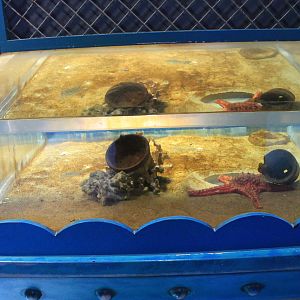 marine tank at Fantasy Aquarium, Xi'an