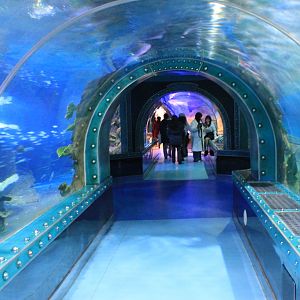 Oceanarium at Fantasy Aquarium, Xi'an