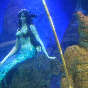 Oceanarium at Fantasy Aquarium, Xi'an