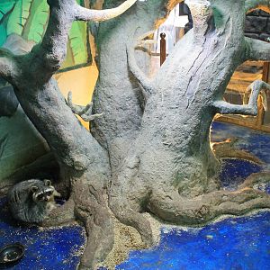 Zoo area at Fantasy Aquarium, Xi'an