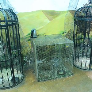 Zoo area at Fantasy Aquarium, Xi'an