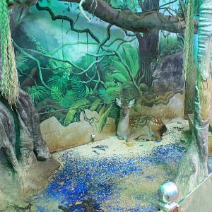 Zoo area at Fantasy Aquarium, Xi'an